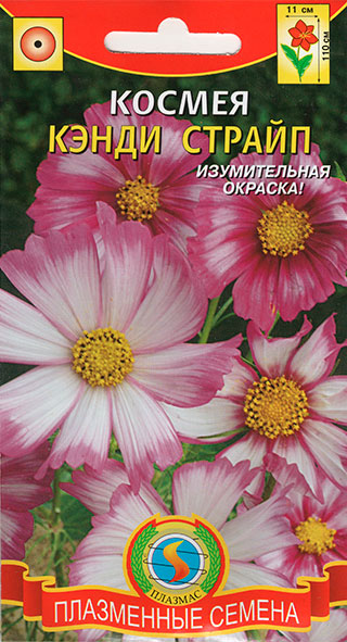 ������ ������ ������ ������� ������ ����� ������, 30 ��.   ����