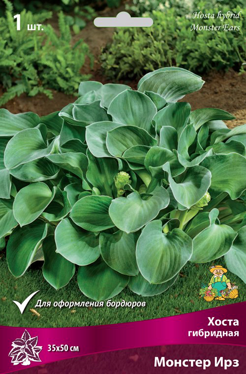 ������ ������ ���������� �������� ����� ��������� ����� ��������� ������� ���, 1 ��.   ����