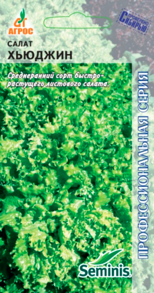 ������ ������ ������ ����� ����� �������� �������, 20 ��. Seminis ���������������� �����   ����