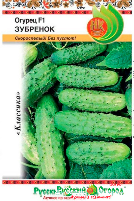 ������ ������ ������ ������� ������ ������ �������� F1, 10 ��.   ����