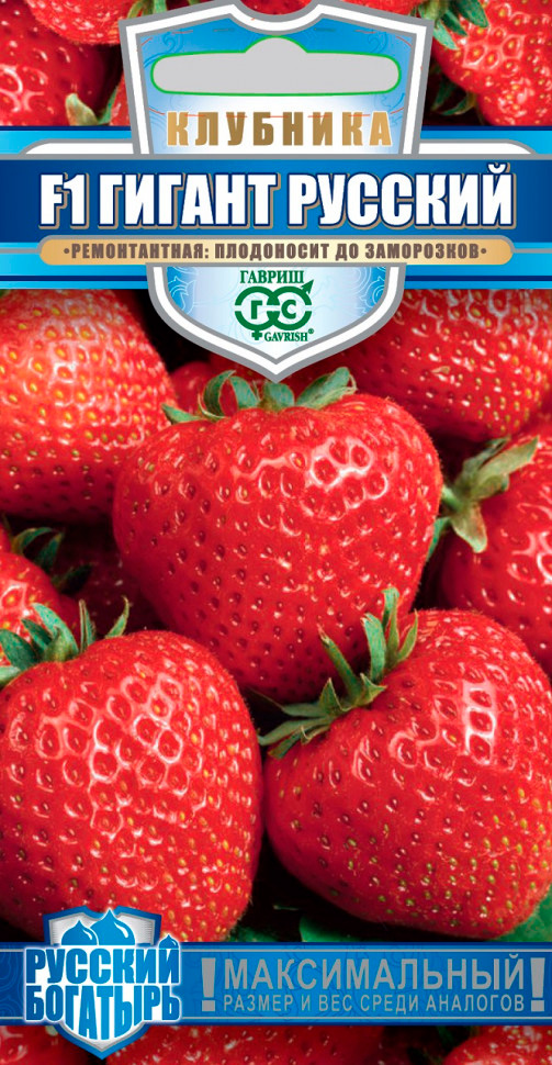 ������ ������ ������ ������ �������� ������ ������� F1, 5 ��. ������� ��������   ����