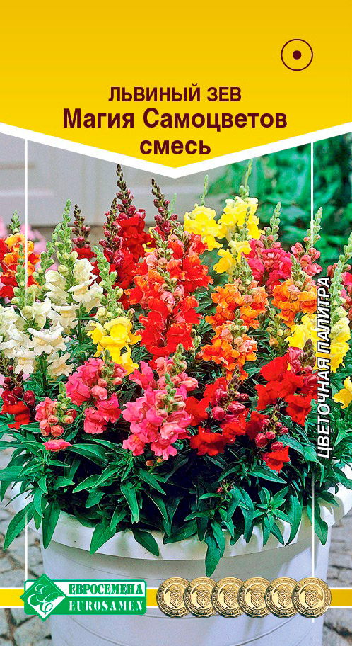 ������ ������ ������ ���������� ������� ��� ����� ����������, �����, 0,1 �   ����