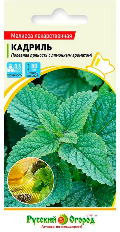 ������ ������ ������ ������� ������ ������� ������������� �������, 0,2 �   ����