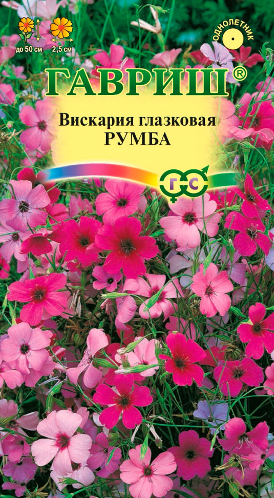 ������ ������ ������ ������ �������� ��������� �����, �����, 0,1 �   ����