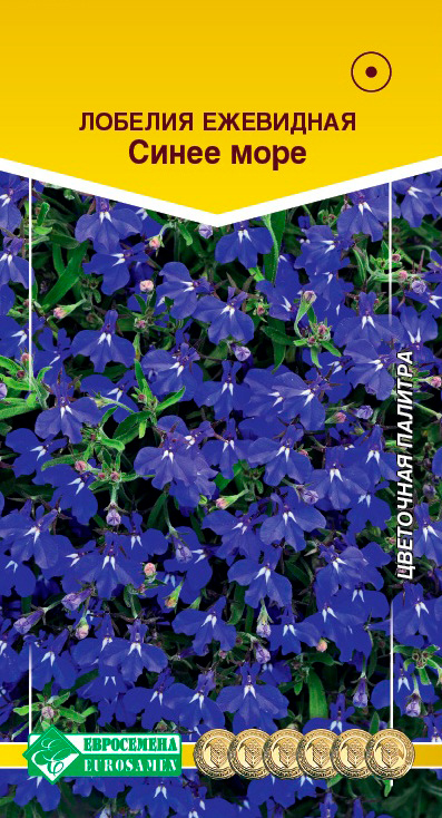 ������ ������ ������ ���������� ������� ����� ����, 0,1 � ��������� �������   ����