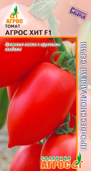 ������ ������ ������ ����� ����� ����� ��� F1, 5 ��. �������� ����� ���������������� �����   ����