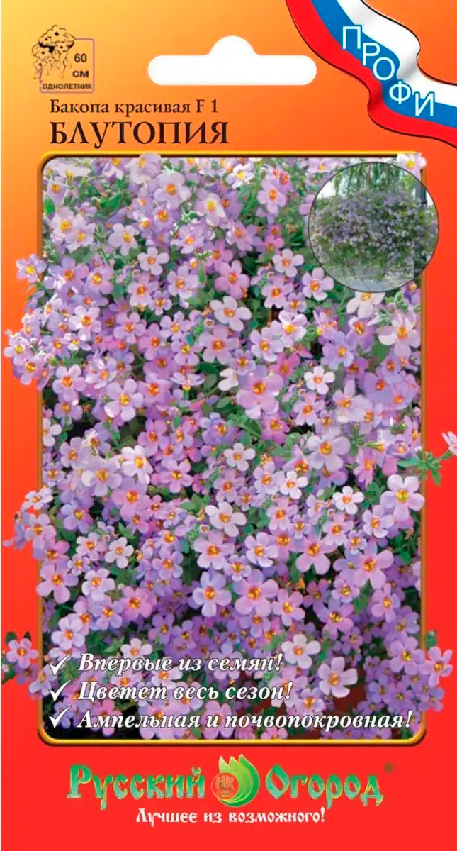 ������ ������ ������ ������� ������ ������ �������� �������� F1, 5 ��. �����   ����