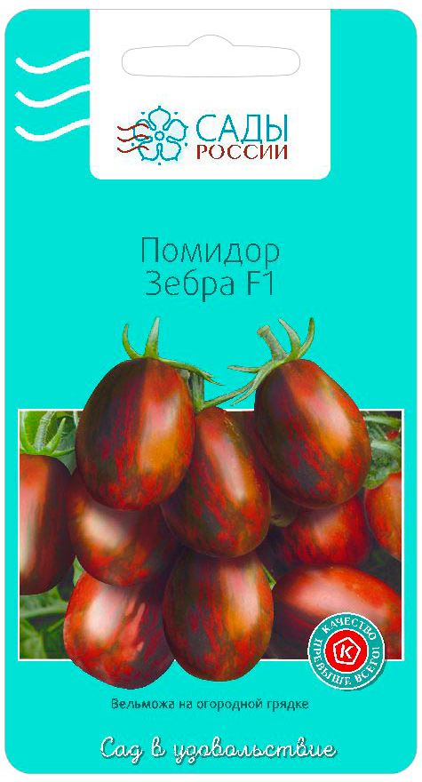 ������ ������ ������ ���� ������ ����� ����� F1, 5 ��.   ����