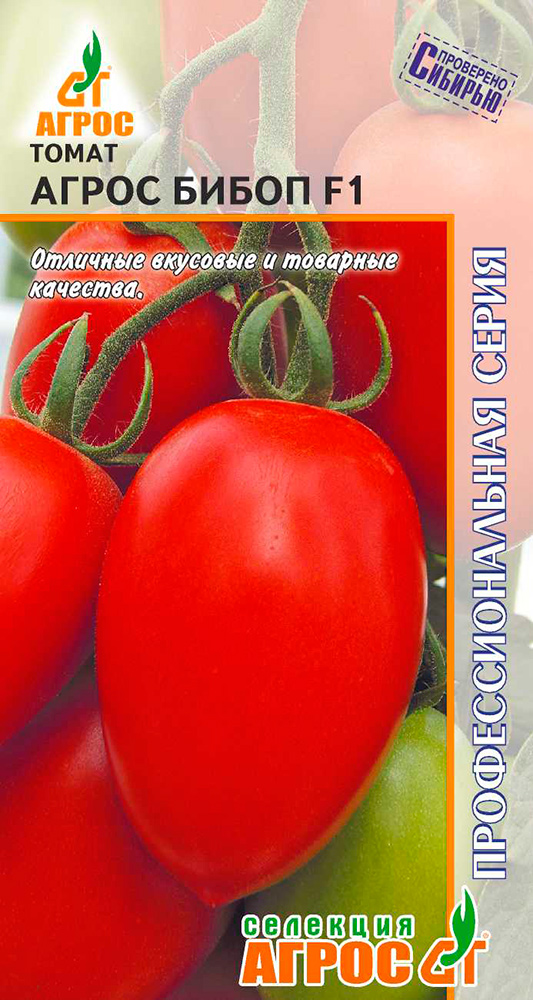 ������ ������ ������ ����� ����� ����� ����� F1, 5 ��. �������� ����� ���������������� �����   ����