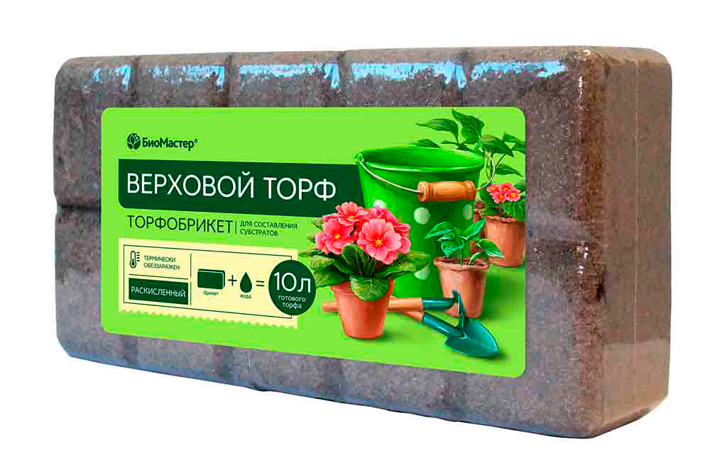 ������ ������ ���� �� ���������� ��������� ����������� �������� ���� ������������, 10 �   ����