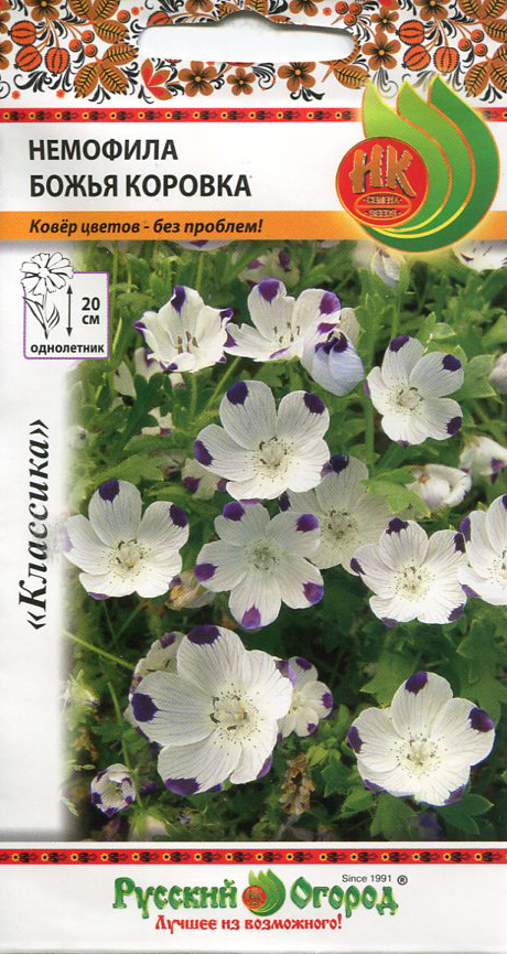 ������ ������ ������ ������� ������ �������� ����� �������, 0,3 �   ����