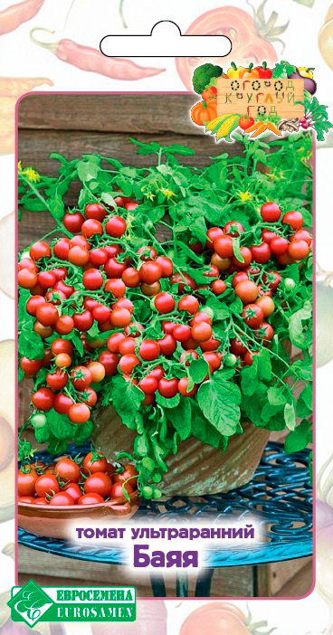 ������ ������ ������ ���������� ����� ����, 10 ��. ������ ������� ���   ����