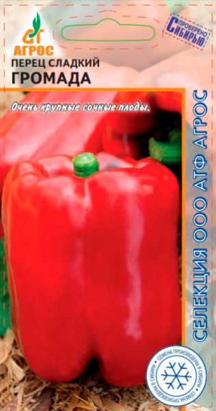 ������ ������ ������ ����� ����� ������� �������, 0,1 � �������� �����   ����