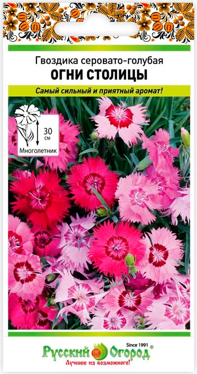 ������ ������ ������ ������� ������ �������� ��������-������� ���� �������, 5 ��.   ����