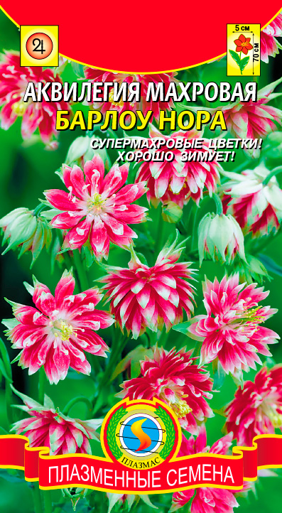 ������ ������ ������ ������� ��������� �������� ������ ����, 9 ��.   ����