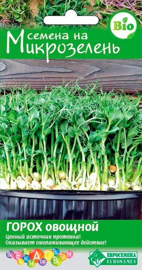 ������ ������ ������ ���������� ����������� ����� �������, 20 �   ����