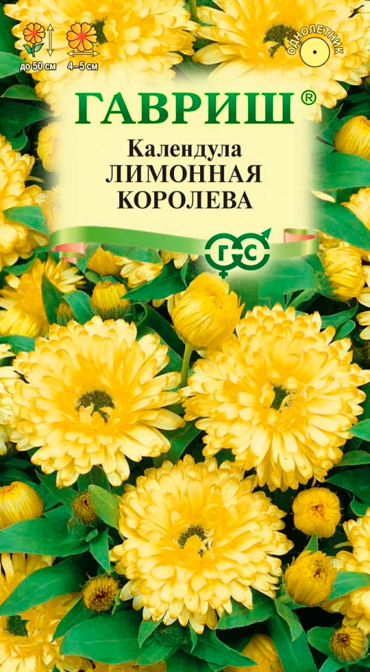 ������ ������ ������ ������ ��������� �������� ��������, 0,3 �   ����