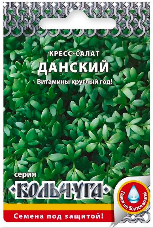 ������ ������ ������ ������� ������ �����-����� �������, 2 � ��������   ����