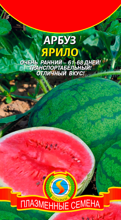 ������ ������ ������ ������� ����� �����, 1 �   ����