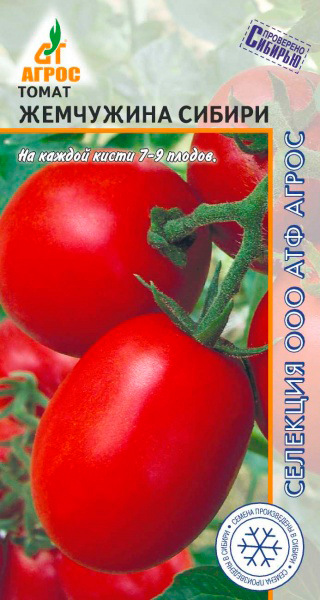 ������ ������ ������ ����� ����� ��������� ������, 0,08 � �������� �����   ����