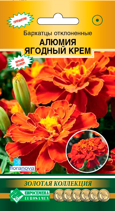 ������ ������ ������ ���������� �������� ����������� ������ ������� ����, 10 ��. Floranova ������� ���������   ����