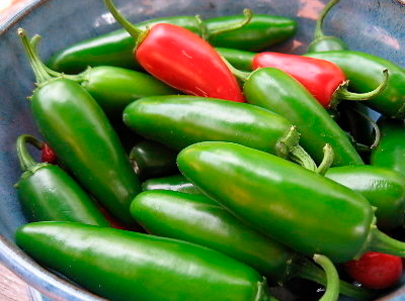 ������ ������ ������ ����� ������ ����� ������ ���������, 5 ��.   ����