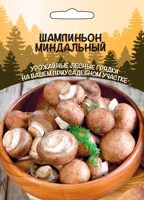 ������ ������ ������ ��������� ������ ������� ��������� ����������, 30 ��   ����