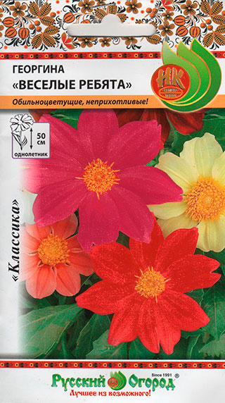 ������ ������ ������ ������� ������ �������� ������� ������, �����, 0,3 �   ����