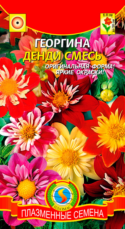 ������ ������ ������ ������� �������� �����, �����, 13 ��.   ����