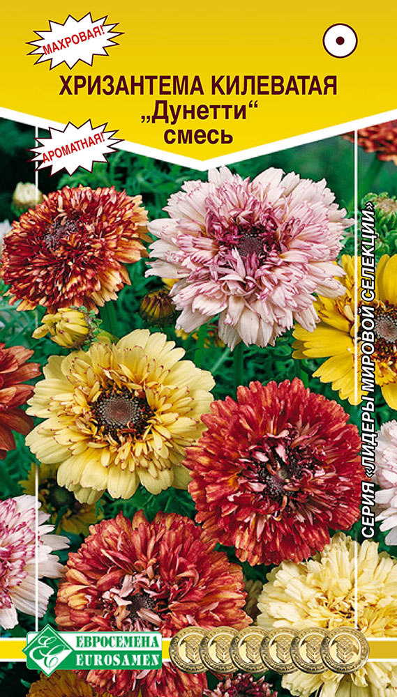 ������ ������ ������ ���������� ���������� ��������� �������, �����, 0,2 � ������ ������� ��������   ����