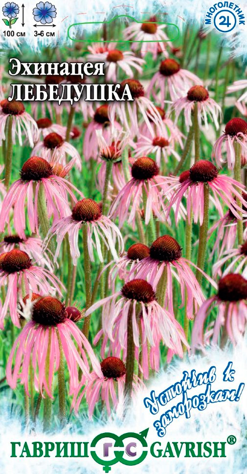 ������ ������ ������ ������ �������� ���������, 0,1 � �������� � ����������!   ����