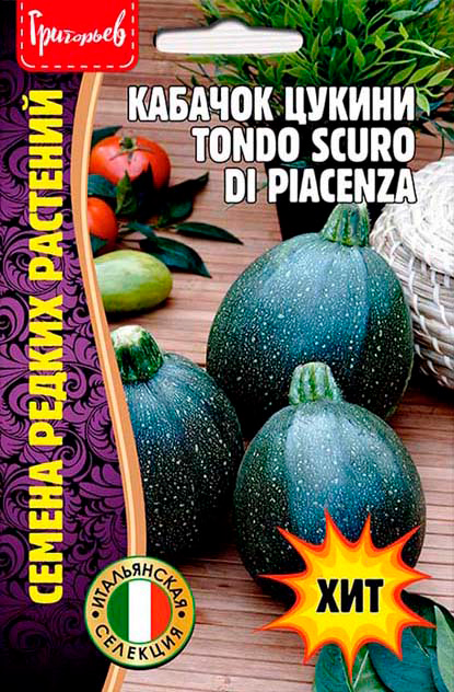 ������ ������ ������ ��������� ������� ������ Tondo Scuro Di Piacenza, 10 ��. ������ ������ ��������   ����