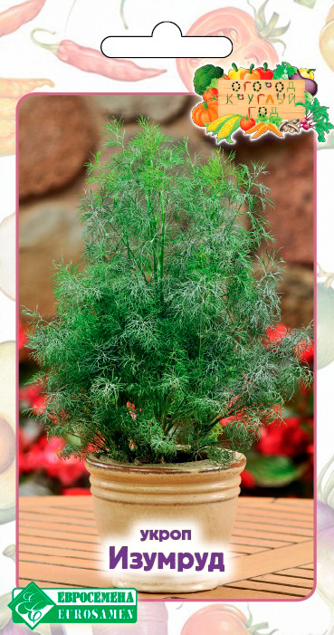 ������ ������ ������ ���������� ����� �������, 1 � ������ ������� ���   ����