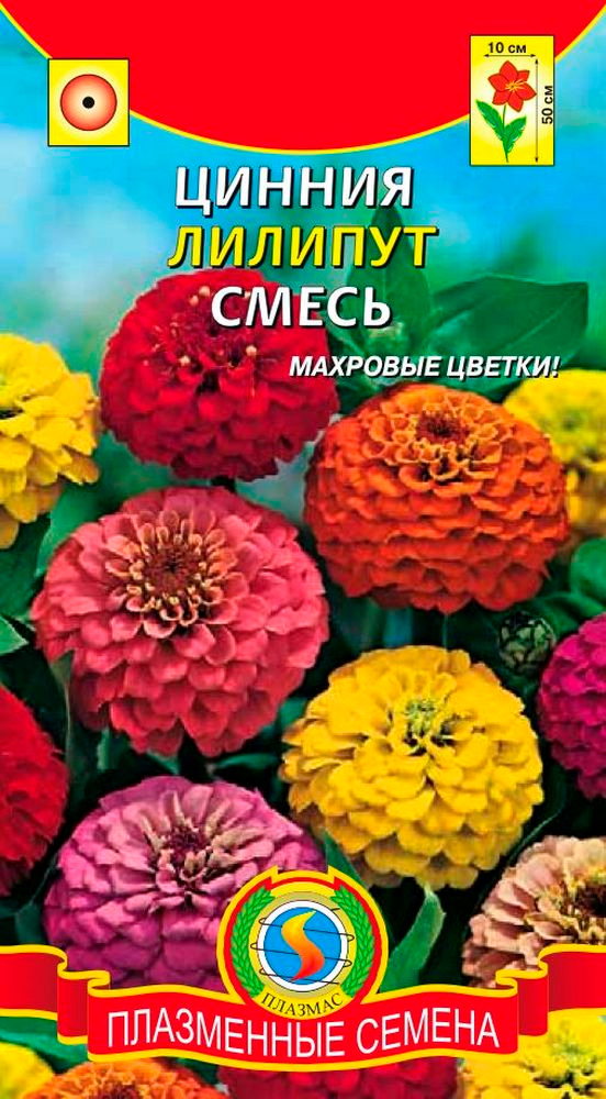 ������ ������ ������ ������� ������ �������, �����, 0,4 �   ����