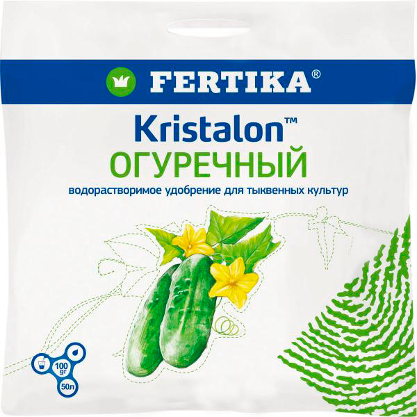 ������ ������ ���� �� ���������� ������� ������� ��������� ���������, 100 �   ����