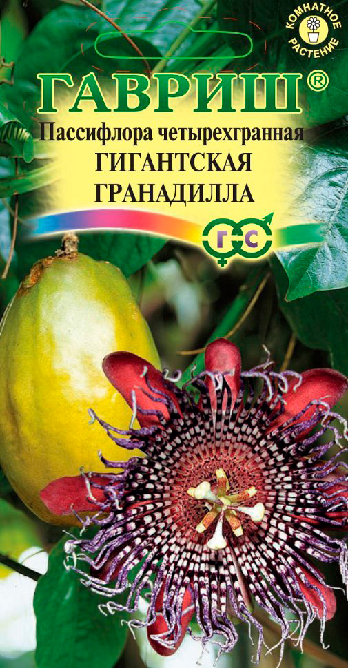 ������ ������ ������ ������ ���������� �������������� ���������� ����������, 3 ��.   ����