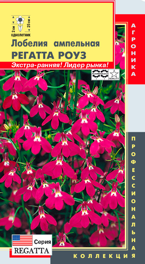 ������ ������ ������ ������� ������� ��������� ������� ����, 8 ����������� ���������������� ���������   ����