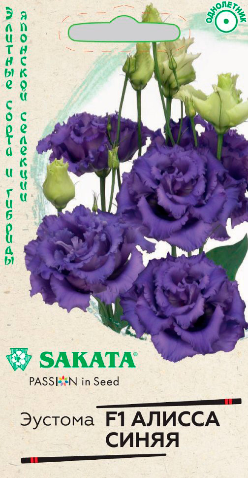 ������ ������ ������ ������ ������� ��������������� ������ ����� F1, 4 ��. Sakata ���������   ����