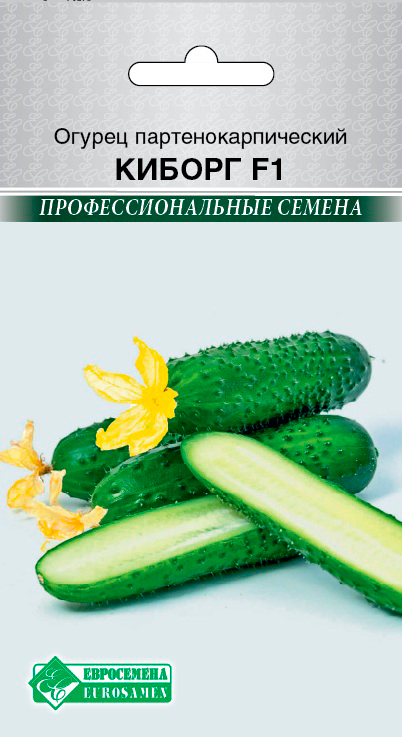 ������ ������ ������ ���������� ������ ������ F1, 5 ��. ���������������� ������   ����