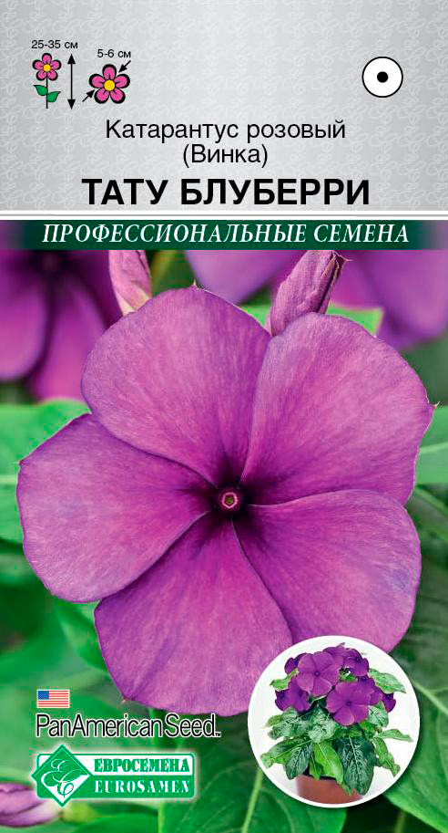 ������ ������ ������ ���������� ���������� ������� (�����) ���� ��������, 5 ��. PanAmSeeds ���������������� ������   ����