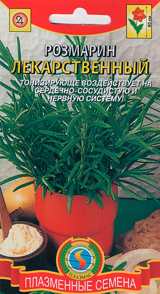 ������ ������ ������ ������� �������� �������������, 20 ��.   ����