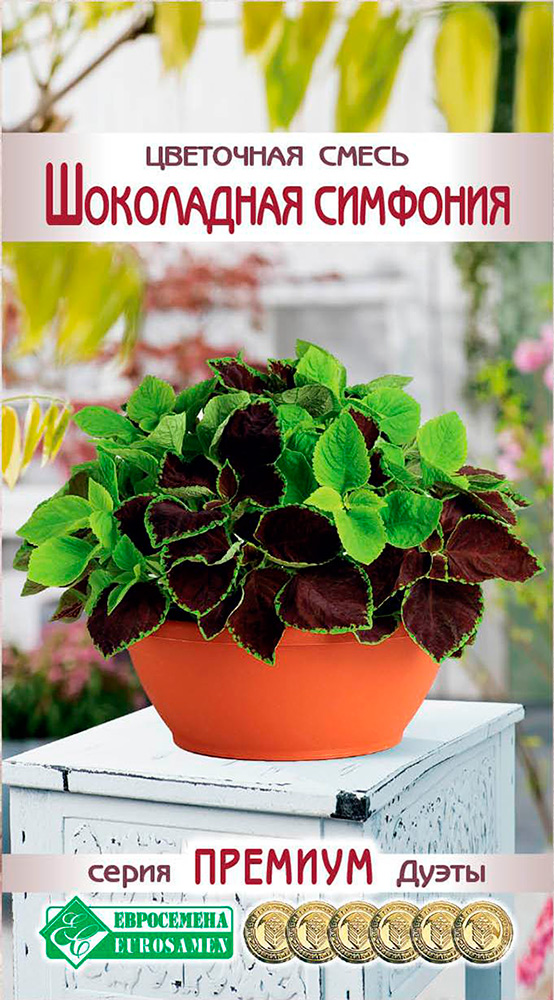 ������ ������ ������ ���������� ��������� ����� ���������� ��������, 4 ����� ������� �����   ����