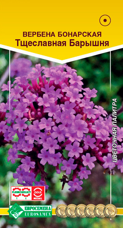 ������ ������ ������ ���������� ������� ��������� ���������� �������, 5 ��.   ����