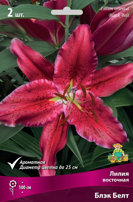 ������ ������ ���������� �������� ����� ��������� ����� ��������� ���� ����, 2 ��.   ����