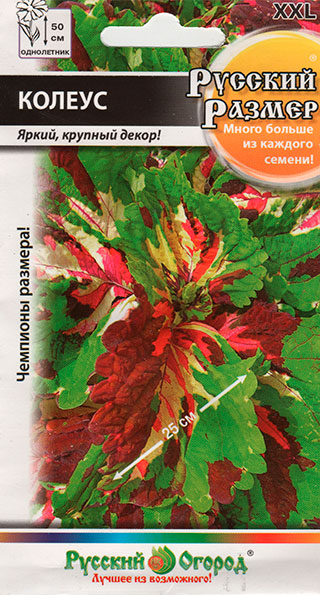 ������ ������ ������ ������� ������ ������ ������� ������, 4 ��.   ����