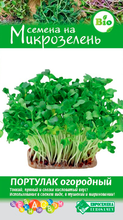 ������ ������ ������ ���������� ����������� �������� ���������, 1 �   ����