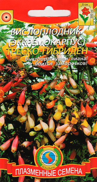 ������ ������ ������ ������� ������������ (�������������) ������-��������, 0,02 �   ����