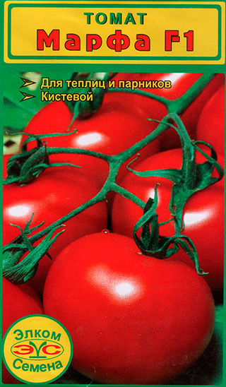 ������ ������ ������ ����� ������ ����� ����� F1, 5 ��.   ����