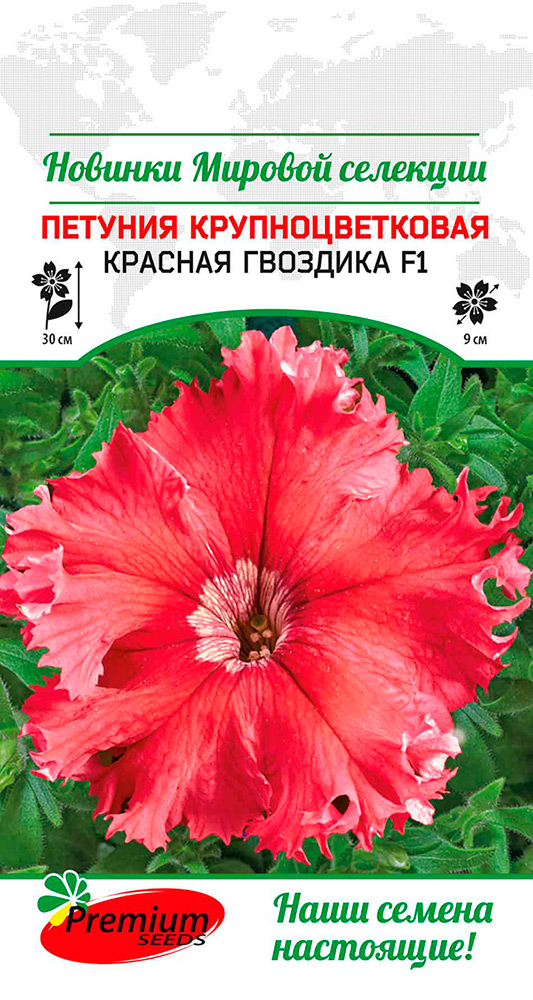   Premium seeds     F1, 7 .    -     , -, 