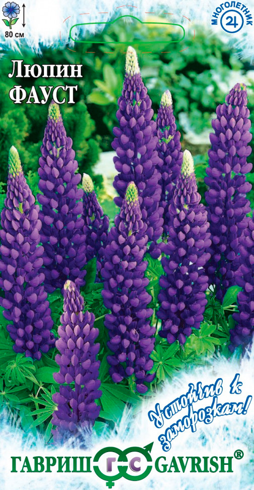 ������ ������ ������ ������ ����� ����� ������������, 0,5 � �������� � ����������   ����